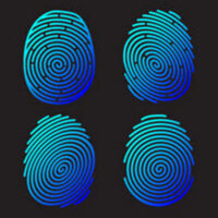 Identity Identity