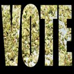 MarijuanaVote MarijuanaVote