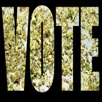 MarijuanaVote MarijuanaVote