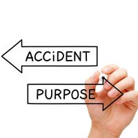 AccidentPurpose AccidentPurpose