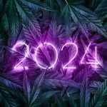 Marijuana2024