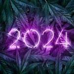 Marijuana2024 Marijuana2024