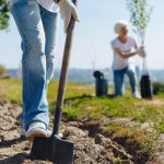 PlantingTrees