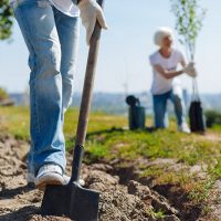 PlantingTrees PlantingTrees